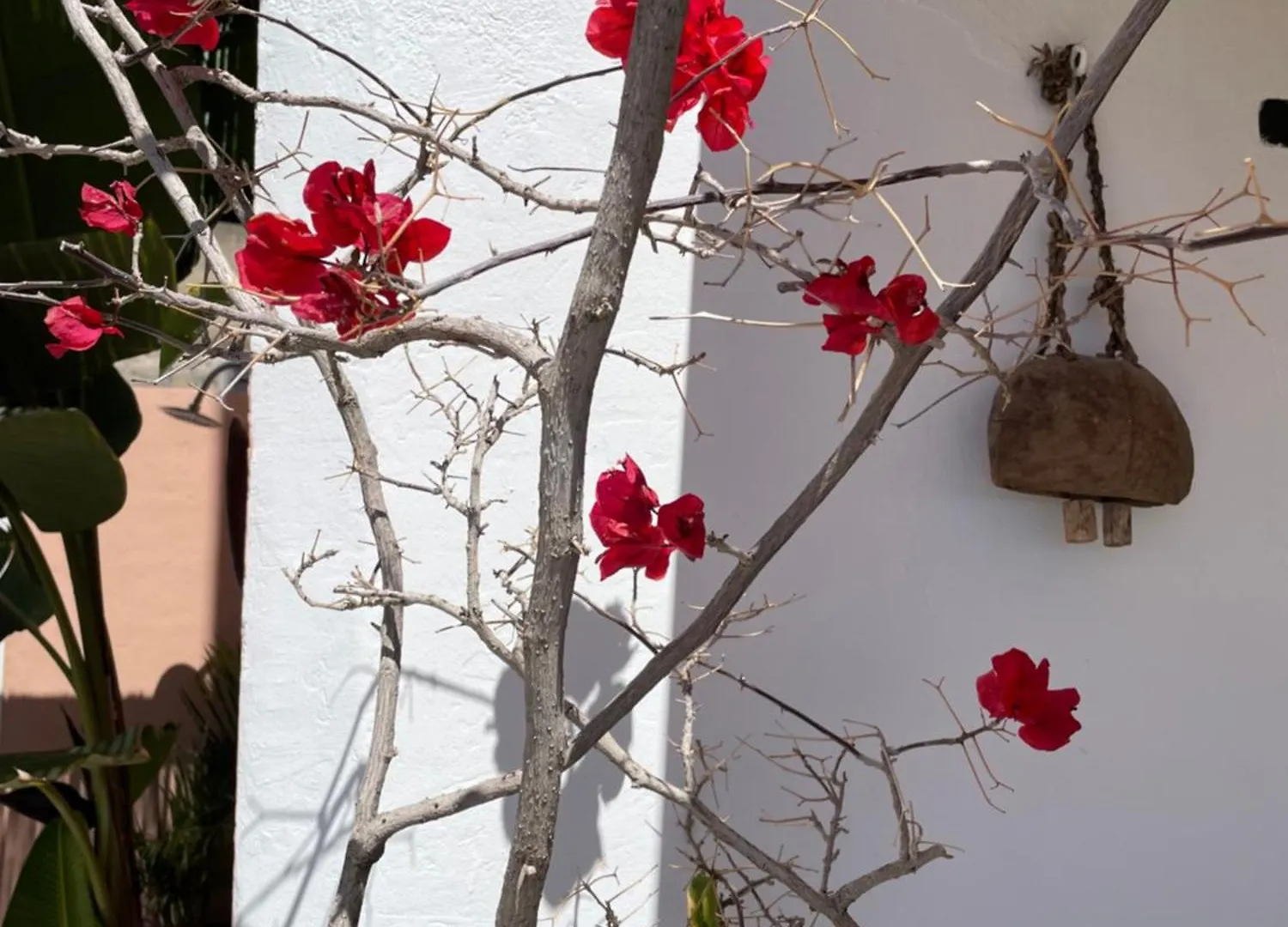 Mar De Fondo En Pedregalejo Appartement Málaga